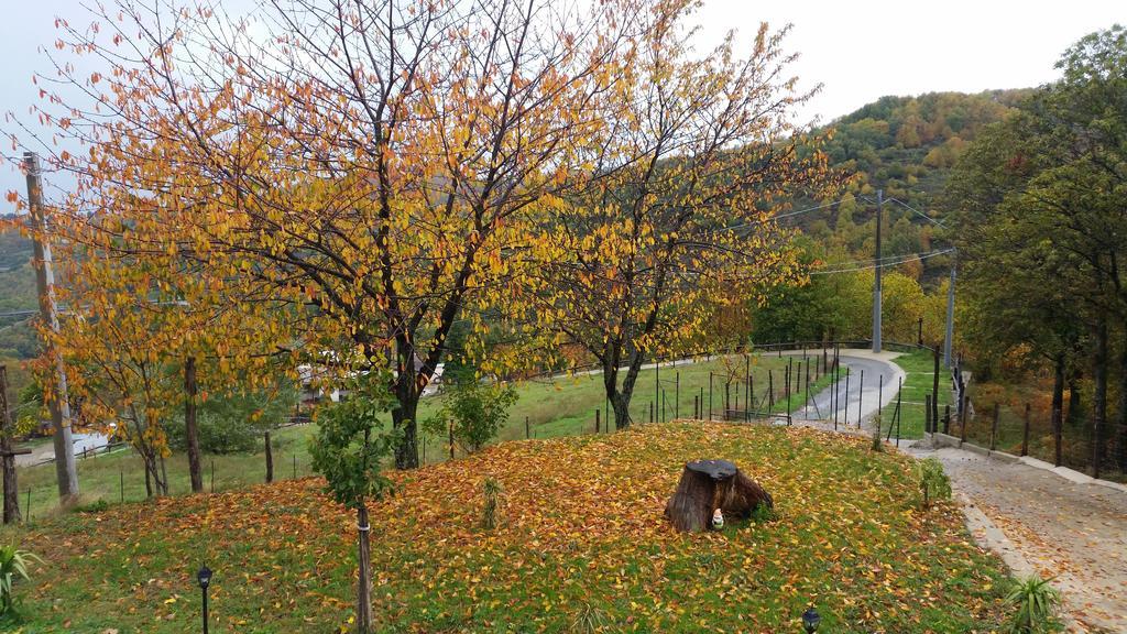 Agriturismo Pietro Falcone Vendégház Celico Kültér fotó